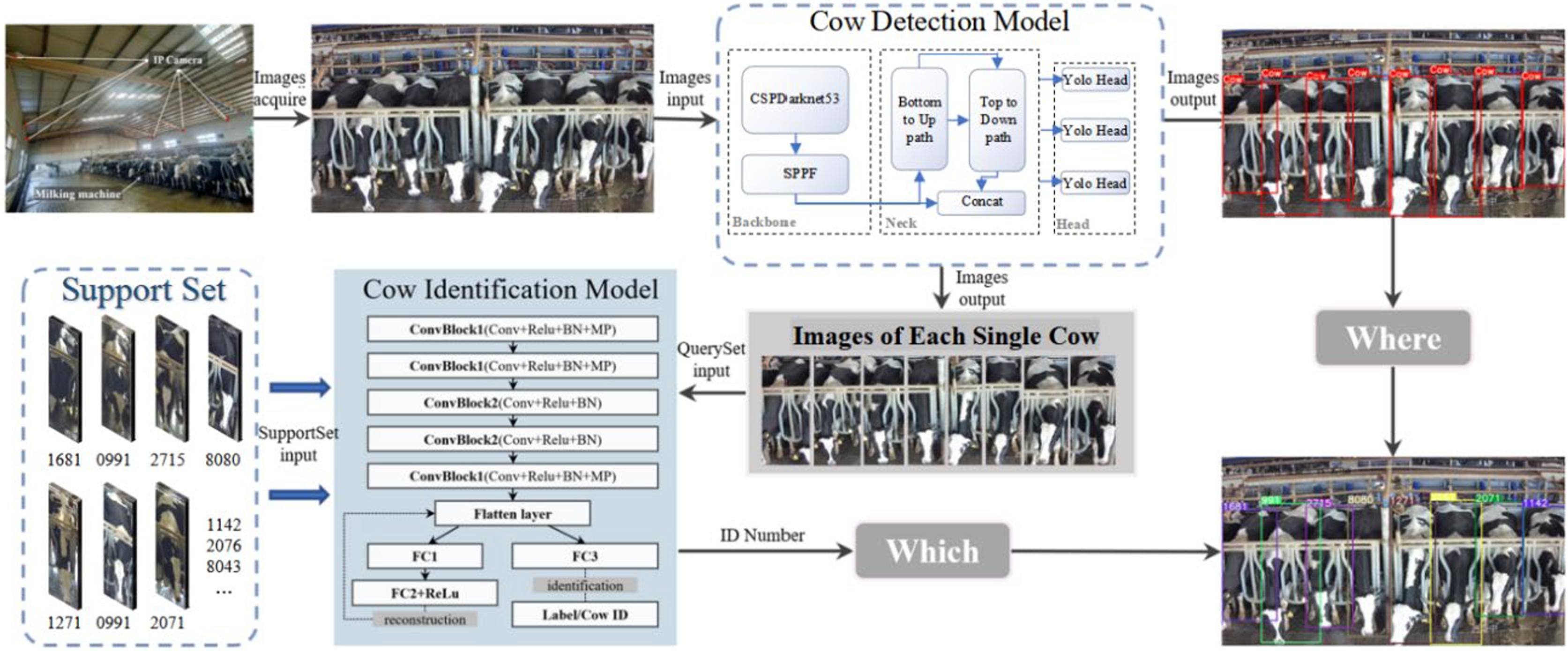 few-shot cow identification